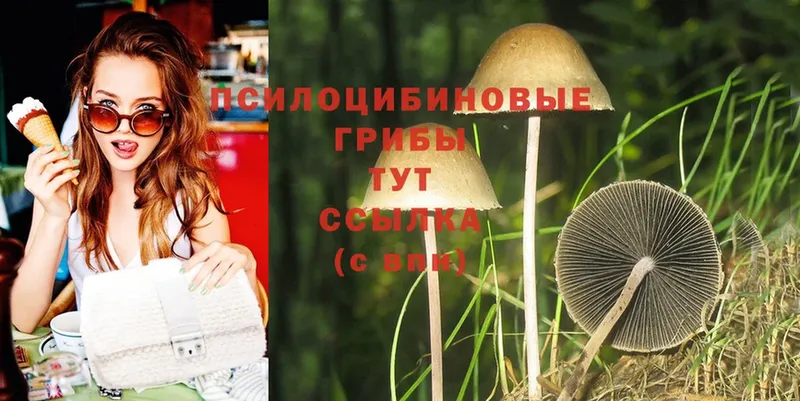 Галлюциногенные грибы Magic Shrooms  Туймазы 