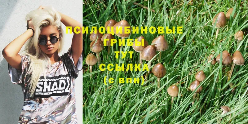 Галлюциногенные грибы MAGIC MUSHROOMS Туймазы